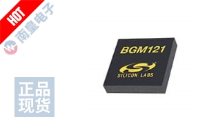 BGM121N256V2R ͼƬ